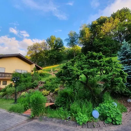 Juengstbergblick Apartment *