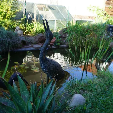 Juengstbergblick * Bruchweiler-Bärenbach