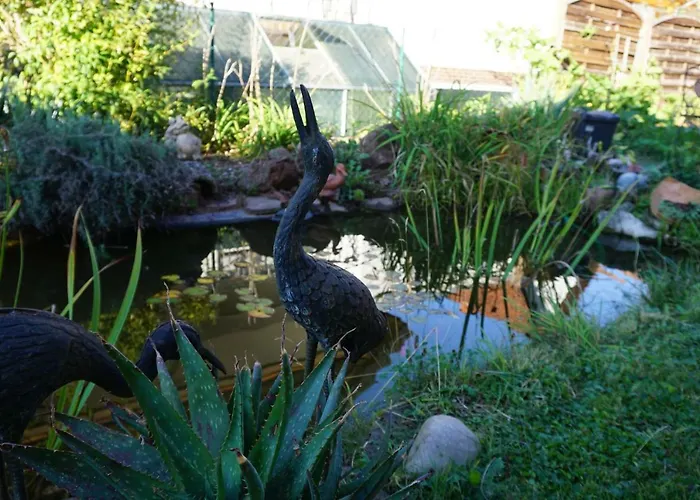 Juengstbergblick * Bruchweiler-Bärenbach